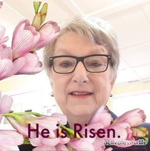 Meet your Posher, Ann